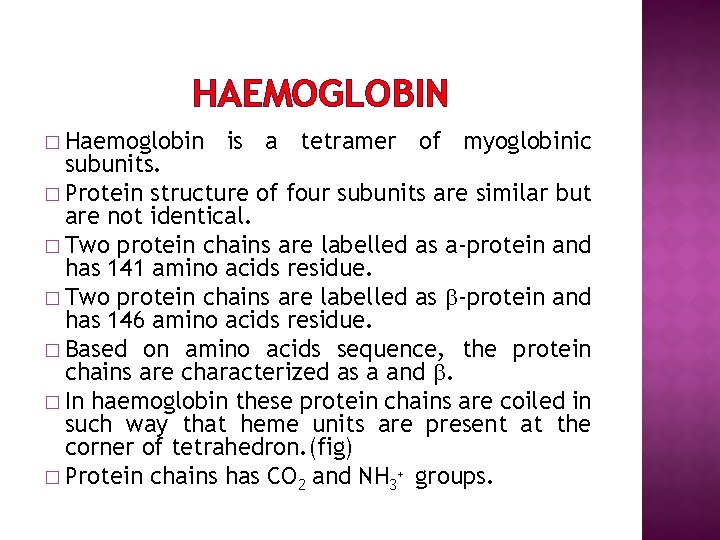 HAEMOGLOBIN � Haemoglobin is a tetramer of myoglobinic subunits. � Protein structure of four