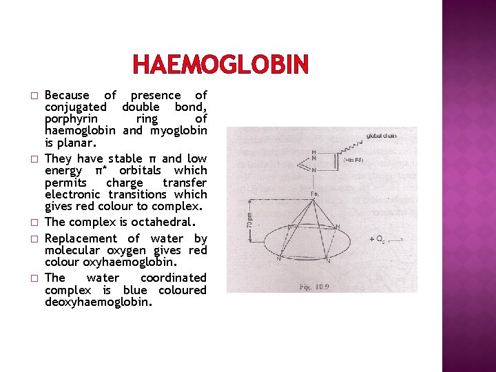 HAEMOGLOBIN � � � Because of presence of conjugated double bond, porphyrin ring of