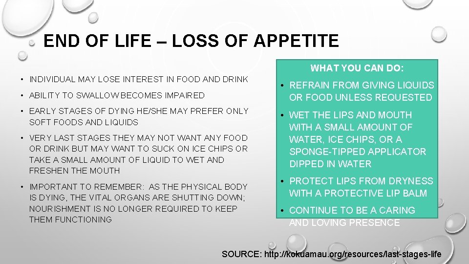 END OF LIFE – LOSS OF APPETITE WHAT YOU CAN DO: • INDIVIDUAL MAY