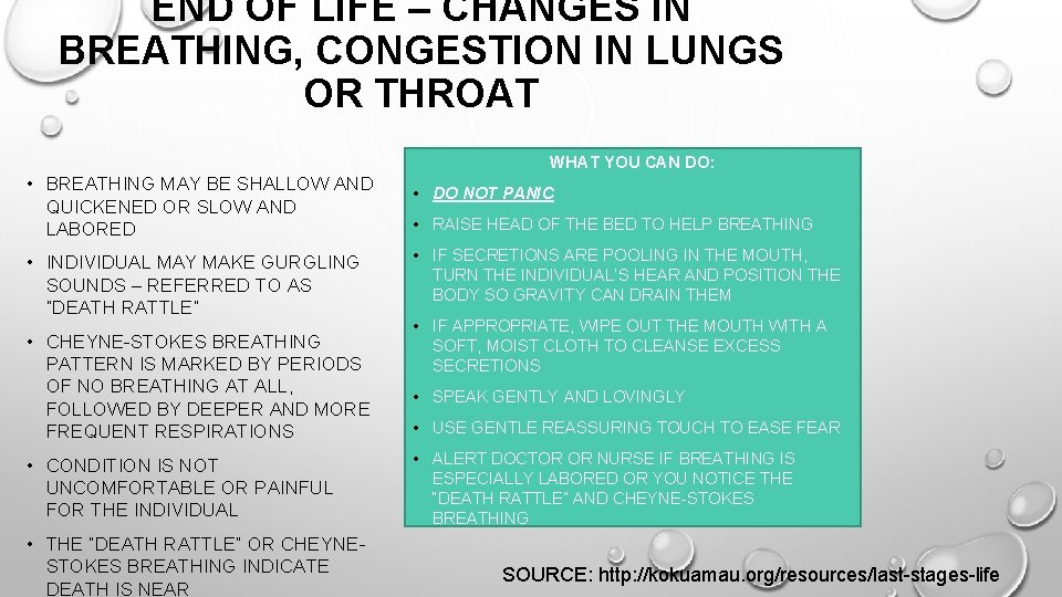 END OF LIFE – CHANGES IN BREATHING, CONGESTION IN LUNGS OR THROAT WHAT YOU