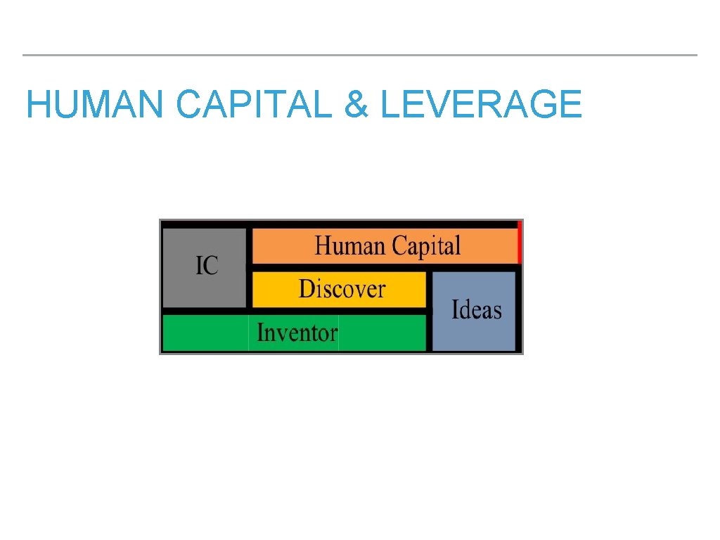 HUMAN CAPITAL & LEVERAGE 