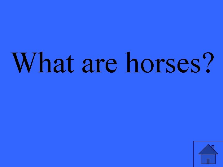What are horses? 