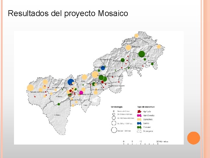 Resultados del proyecto Mosaico Resultados del proyecto Mosaico