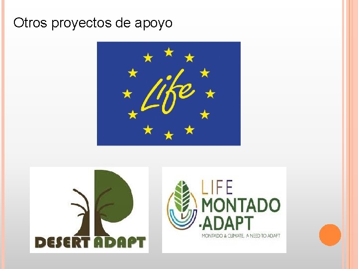 Otros proyectos de apoyo Otros proyectos de apoyo