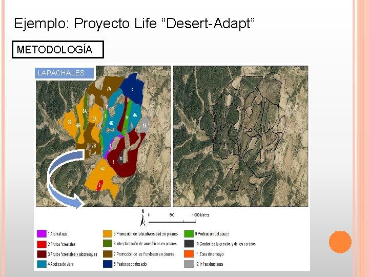 Ejemplo: Proyecto Life “Desert-Adapt” METODOLOGÍA LAPACHALES Ejemplo: Proyecto Life “Desert-Adapt” METODOLOGÍA LAPACHALES