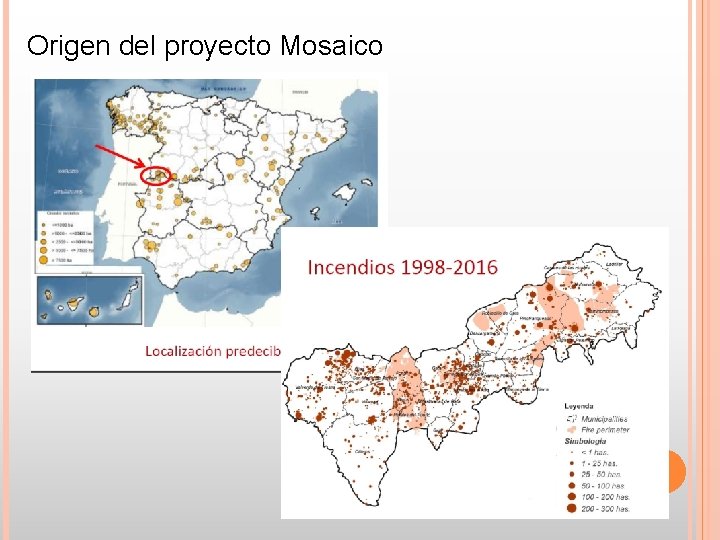Origen del proyecto Mosaico Origen del proyecto Mosaico