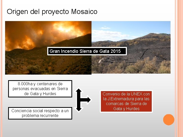 Origen del proyecto Mosaico Gran Incendio Sierra de Gata 2015 8. 000 ha y Origen del proyecto Mosaico Gran Incendio Sierra de Gata 2015 8. 000 ha y