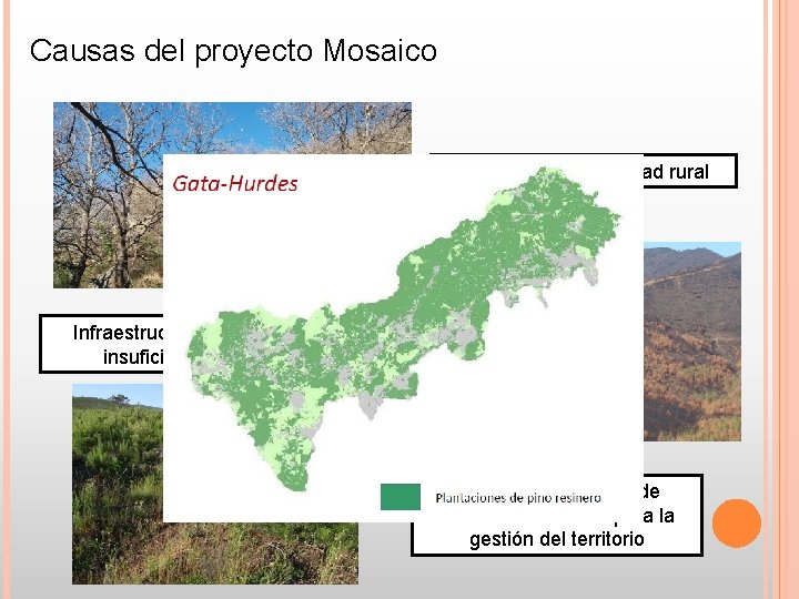 Causas del proyecto Mosaico Abandono de la actividad rural Infraestructuras de prevención insuficientes y Causas del proyecto Mosaico Abandono de la actividad rural Infraestructuras de prevención insuficientes y