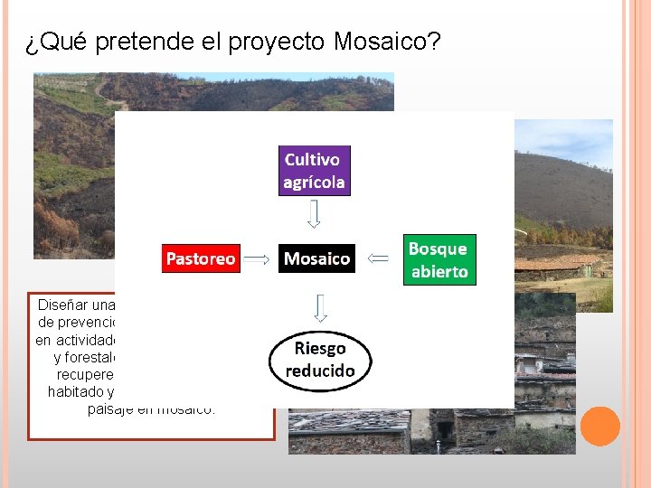 ¿Qué pretende el proyecto Mosaico? Diseñar una estrategia participativa de prevención de incendios basada ¿Qué pretende el proyecto Mosaico? Diseñar una estrategia participativa de prevención de incendios basada