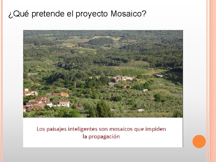 ¿Qué pretende el proyecto Mosaico? ¿Qué pretende el proyecto Mosaico?