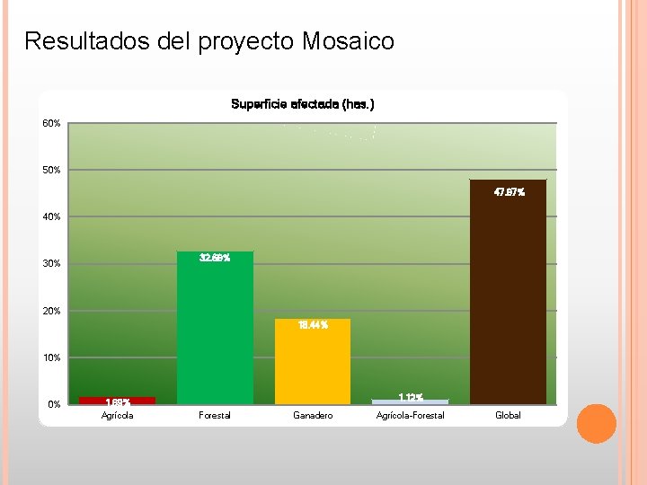 Resultados del proyecto Mosaico Superficie afectada (has. ) 60% 50% 47. 97% 40% 32. Resultados del proyecto Mosaico Superficie afectada (has. ) 60% 50% 47. 97% 40% 32.