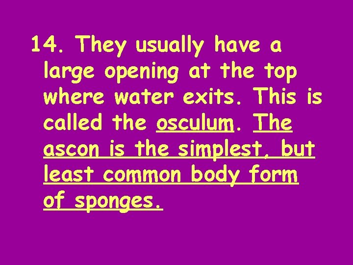 14. They usually have a large opening at the top where water exits. This