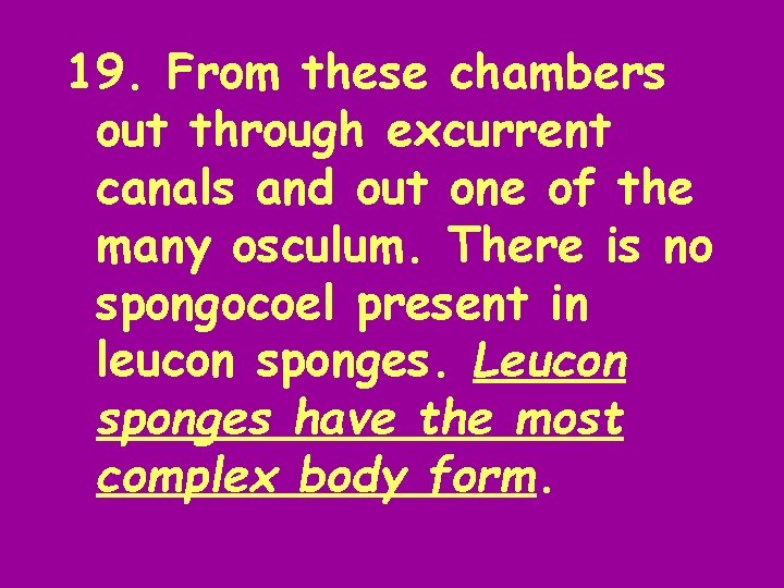 19. From these chambers out through excurrent canals and out one of the many