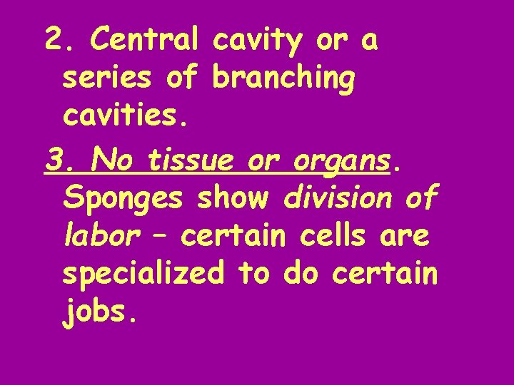 2. Central cavity or a series of branching cavities. 3. No tissue or organs.