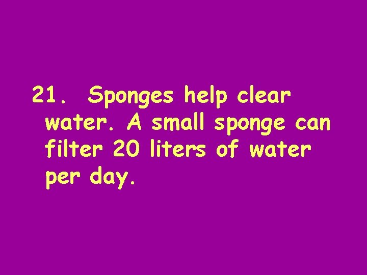 21. Sponges help clear water. A small sponge can filter 20 liters of water