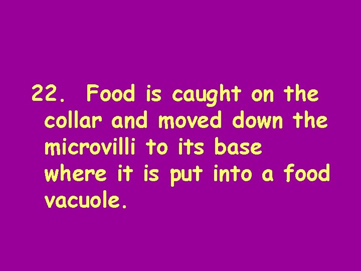 22. Food is caught on the collar and moved down the microvilli to its