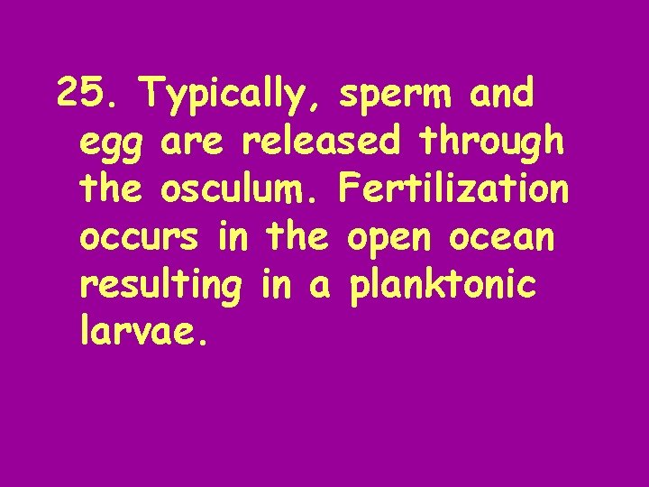 25. Typically, sperm and egg are released through the osculum. Fertilization occurs in the
