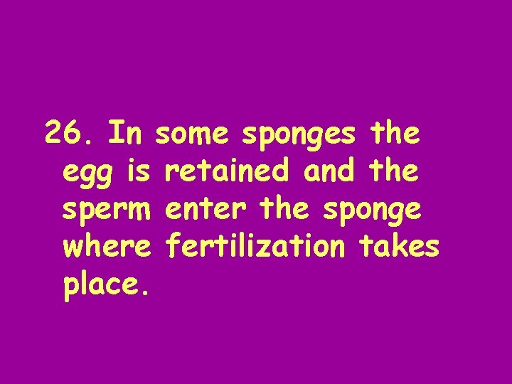 26. In some sponges the egg is retained and the sperm enter the sponge