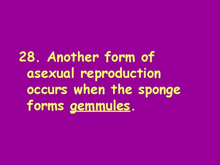 28. Another form of asexual reproduction occurs when the sponge forms gemmules. 