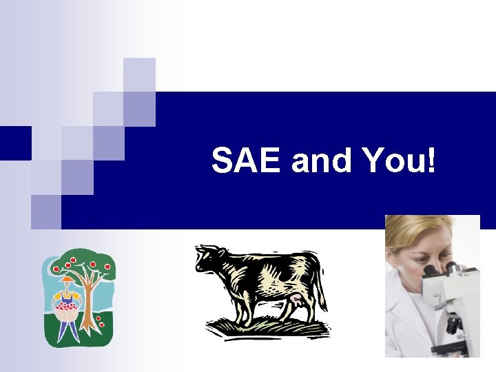 SAE and You! 