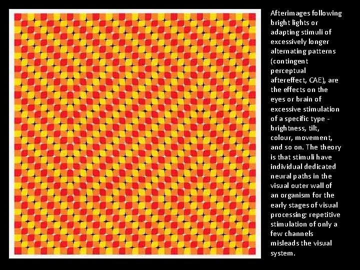 Afterimages following bright lights or adapting stimuli of excessively longer alternating patterns (contingent perceptual