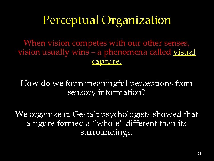 Perceptual Organization When vision competes with our other senses, vision usually wins – a