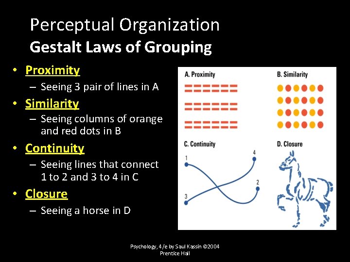 Perceptual Organization Gestalt Laws of Grouping • Proximity – Seeing 3 pair of lines