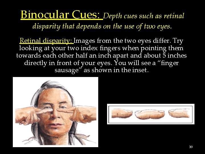 Binocular Cues: Depth cues such as retinal disparity that depends on the use of