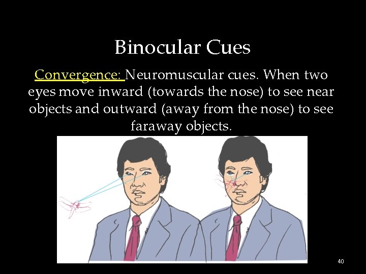 Binocular Cues Convergence: Neuromuscular cues. When two eyes move inward (towards the nose) to