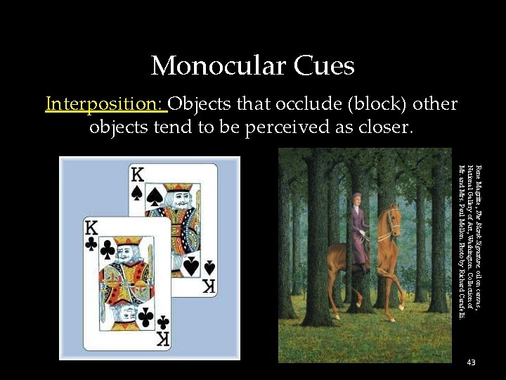 Monocular Cues Interposition: Objects that occlude (block) other objects tend to be perceived as