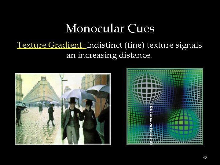 Monocular Cues Texture Gradient: Indistinct (fine) texture signals an increasing distance. © Eric Lessing/