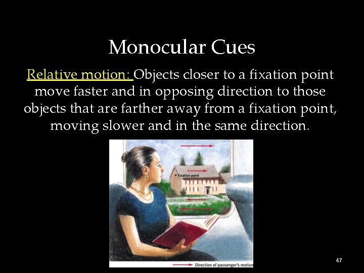 Monocular Cues Relative motion: Objects closer to a fixation point move faster and in