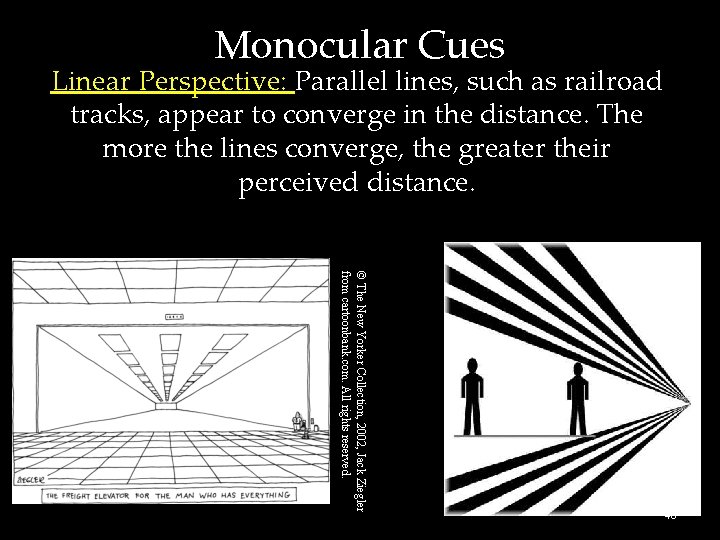 Monocular Cues Linear Perspective: Parallel lines, such as railroad tracks, appear to converge in