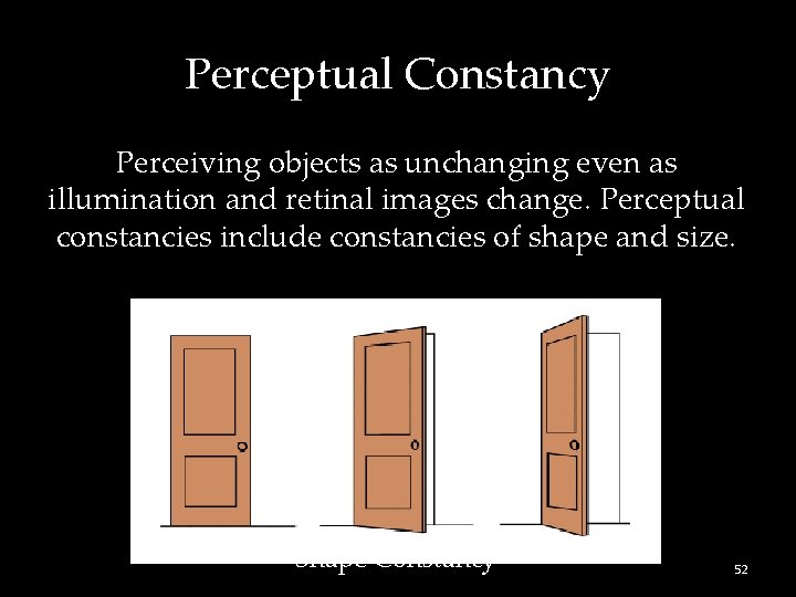 Perceptual Constancy Perceiving objects as unchanging even as illumination and retinal images change. Perceptual