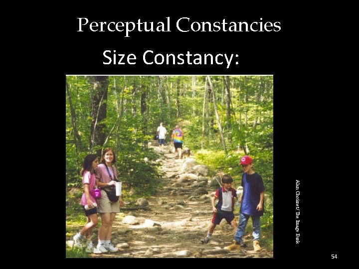 Perceptual Constancies Size Constancy: Alan Choisnet/ The Image Bank From Shepard, 1990 54 