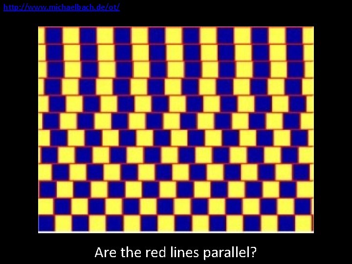 http: //www. michaelbach. de/ot/ Chapter 8 Are the red lines parallel? 