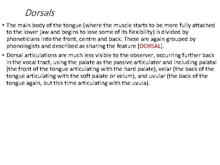 Dorsals • The main body of the tongue (where the muscle starts to be