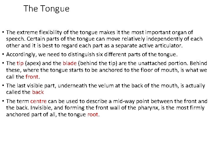 The Tongue • The extreme flexibility of the tongue makes it the most important