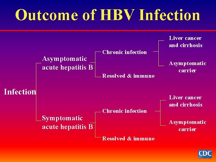 Outcome of HBV Infection Liver cancer and cirrhosis Asymptomatic acute hepatitis B Chronic infection