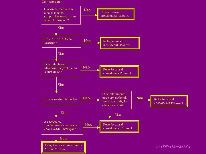 Ana Filipa Macedo 2004 