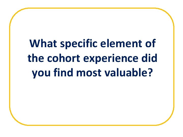 What specific element of the cohort experience did you find most valuable? 