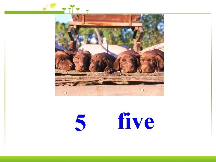 5 five 