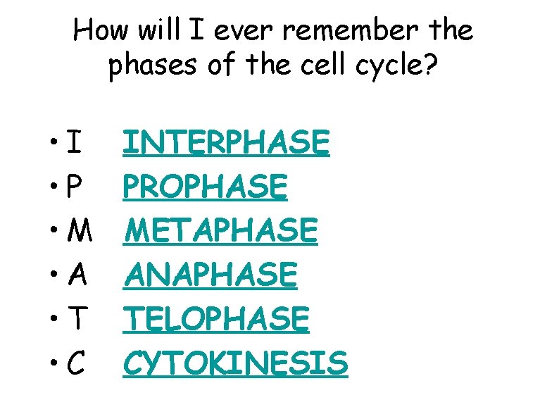 How will I ever remember the phases of the cell cycle? • I •