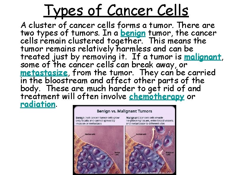 Types of Cancer Cells A cluster of cancer cells forms a tumor. There are