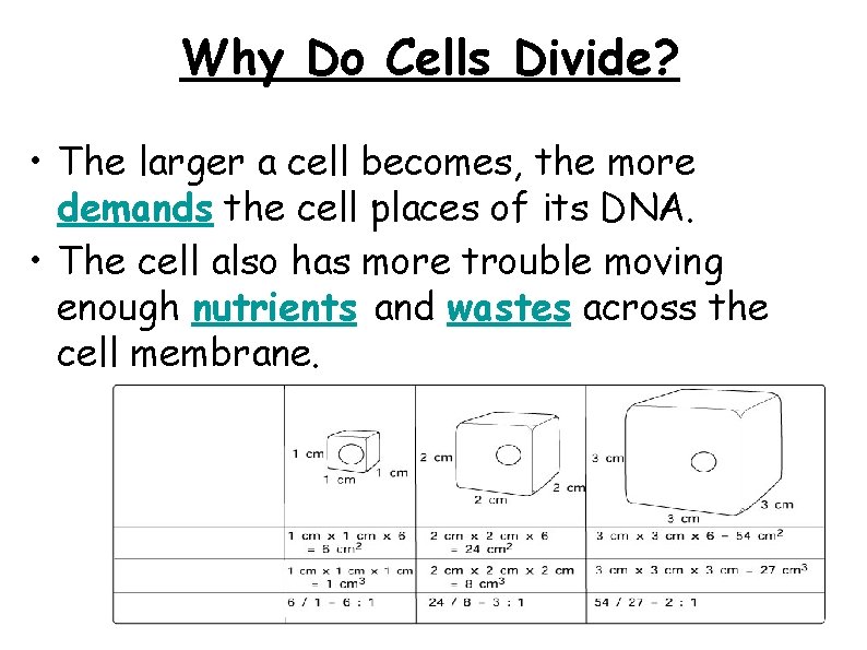 Why Do Cells Divide? • The larger a cell becomes, the more demands the