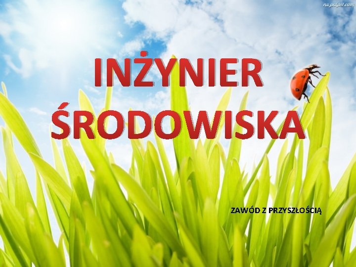 INŻYNIER ŚRODOWISKA ZAWÓD Z PRZYSZŁOŚCIĄ 