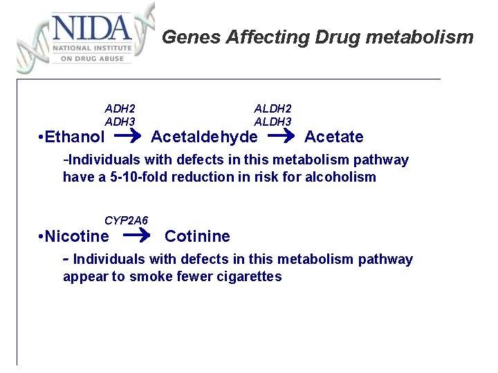 Genes Affecting Drug metabolism ADH 2 ADH 3 ALDH 2 ALDH 3 • Ethanol