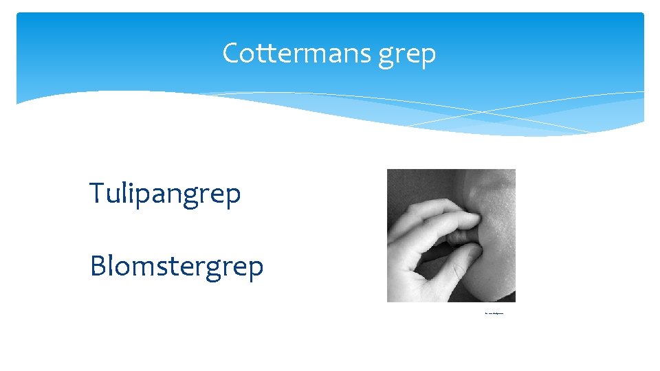 Cottermans grep Tulipangrep Blomstergrep fra ammehjelpen. no 