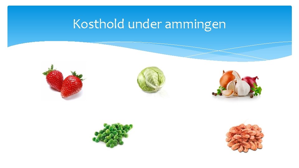 Kosthold under ammingen 