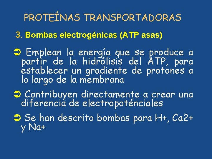 PROTEÍNAS TRANSPORTADORAS 3. Bombas electrogénicas (ATP asas) Ü Emplean la energía que se produce